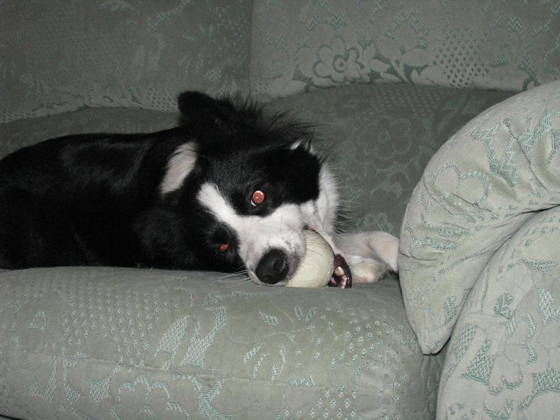 Kiki With Ball